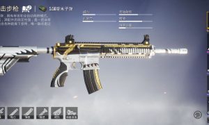 吃鸡一般带哪两把枪最好（和平精英新版吃鸡率高的武器搭配）