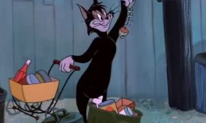 猫和老鼠黑猫布奇怎么玩（猫和老鼠手游黑猫布奇攻略）