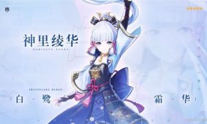 神里绫华圣遗物推荐（原神神里绫华圣遗物搭配指南）