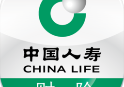 中国人寿财险软件