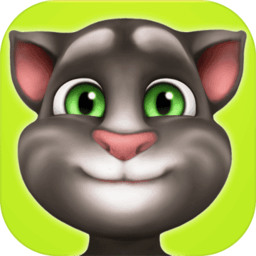 会说话的汤姆猫