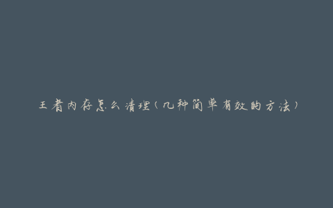 王者内存怎么清理(几种简单有效的方法)
