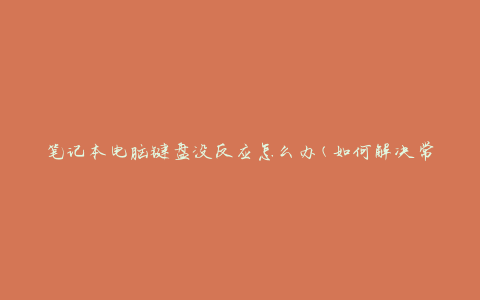 笔记本电脑键盘没反应怎么办(如何解决常见的键盘故障)