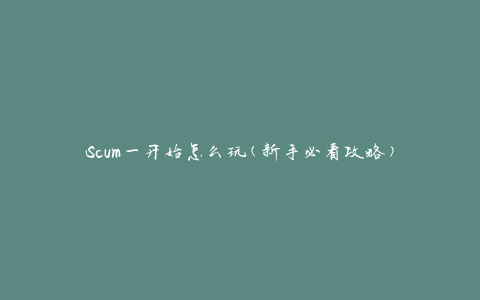 Scum一开始怎么玩(新手必看攻略)