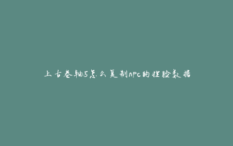 上古卷轴5怎么复制npc的捏脸数据
