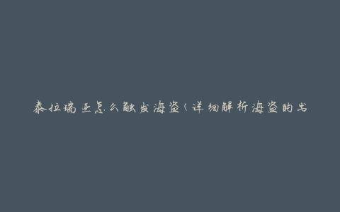 泰拉瑞亚怎么触发海盗(详细解析海盗的出现条件)