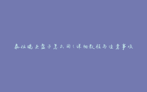 泰拉瑞亚盘子怎么用(详细教程与注意事项)