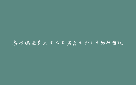 泰拉瑞亚黄玉宝石果实怎么种(详细种植攻略)