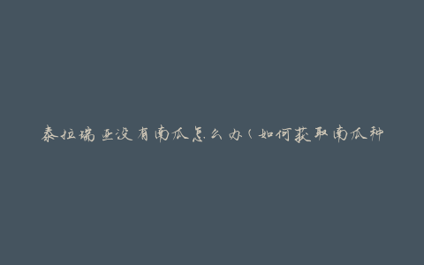 泰拉瑞亚没有南瓜怎么办(如何获取南瓜种子)