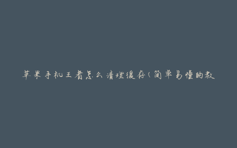 苹果手机王者怎么清理缓存(简单易懂的教程)