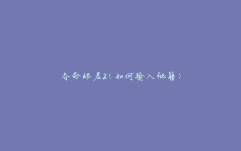 夺命邮差2(如何输入秘籍)
