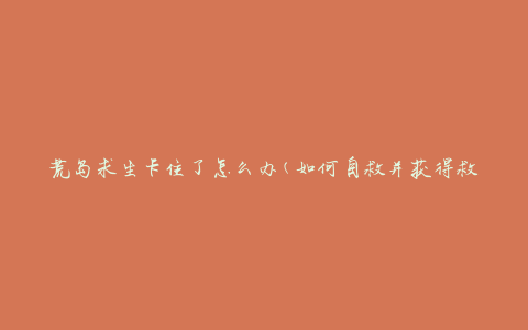 荒岛求生卡住了怎么办(如何自救并获得救援)