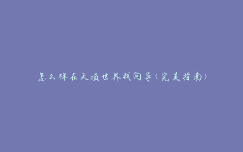 怎么样在天顶世界找向导(完美指南)