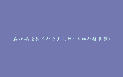 泰拉瑞亚钻石种子怎么种(详细种植步骤)