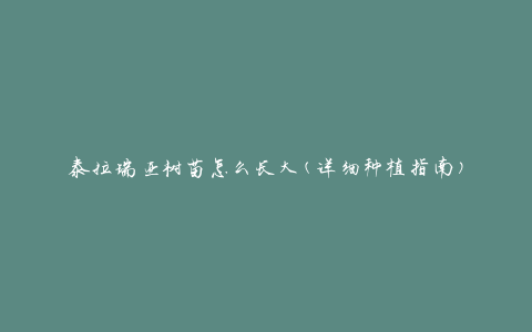 泰拉瑞亚树苗怎么长大(详细种植指南)
