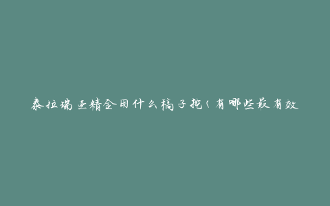泰拉瑞亚精金用什么稿子挖(有哪些最有效的工具？)