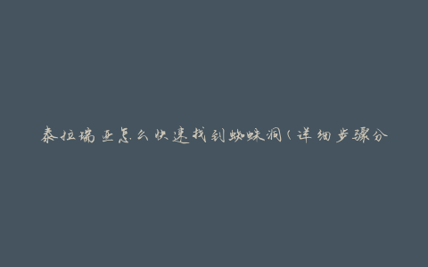 泰拉瑞亚怎么快速找到蜘蛛洞(详细步骤分享)