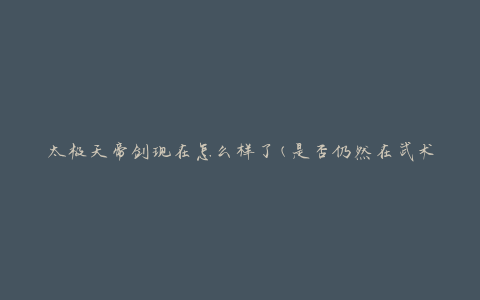 太极天帝剑现在怎么样了(是否仍然在武术界有影响力)