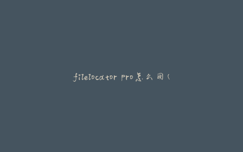 filelocator pro怎么用(详细教程分享)