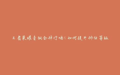 王者荣耀青铜会掉行吗(如何提升排位等级)
