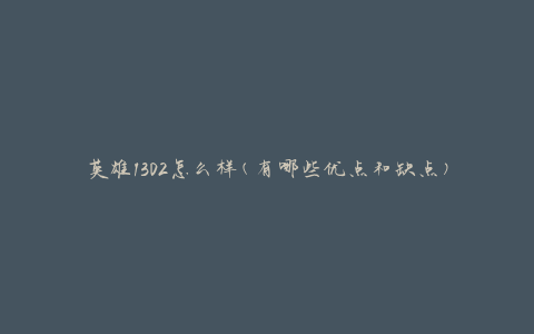 英雄1302怎么样(有哪些优点和缺点)