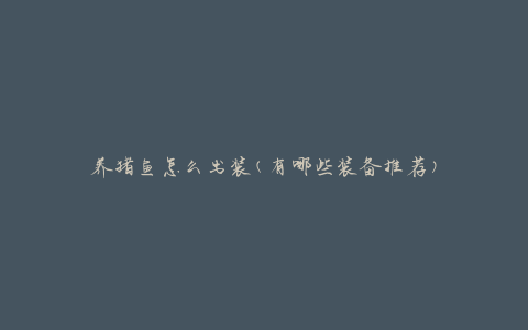 养猪鱼怎么出装(有哪些装备推荐)