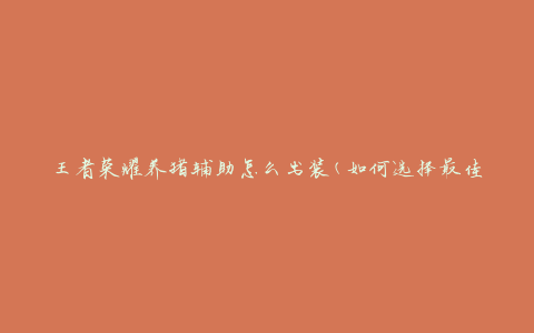 王者荣耀养猪辅助怎么出装(如何选择最佳装备)