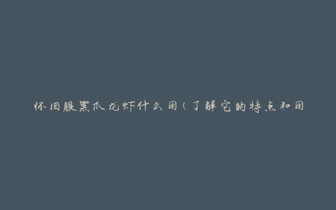 怀旧服黑爪龙虾什么用(了解它的特点和用途)