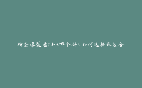 神圣爆裂者1和3哪个好(如何选择最适合的版本)