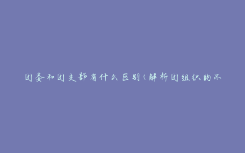 团委和团支部有什么区别(解析团组织的不同职责)