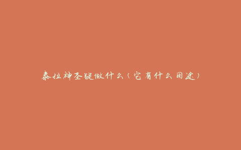 泰拉神圣锭做什么(它有什么用途)