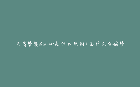 王者禁赛5分钟是什么原因(为什么会被禁赛5分钟)