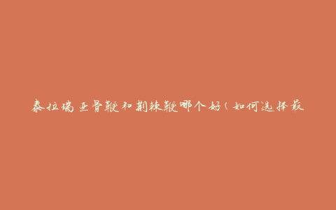 泰拉瑞亚骨鞭和荆棘鞭哪个好(如何选择最适合的武器)