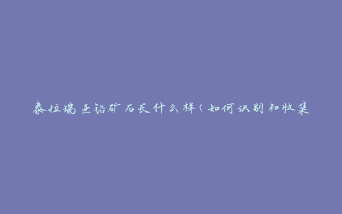 泰拉瑞亚铅矿石长什么样(如何识别和收集)