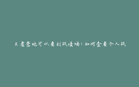 王者营地可以看到战绩吗(如何查看个人战绩和胜率)