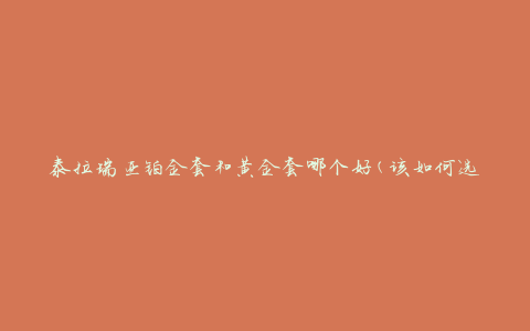 泰拉瑞亚铂金套和黄金套哪个好(该如何选择)