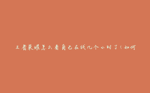 王者荣耀怎么看自己在线几个小时了(如何查看游戏在线时长)