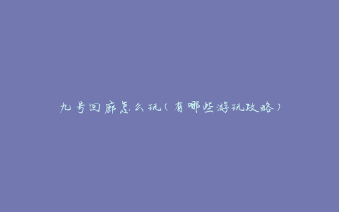 九号回廊怎么玩(有哪些游玩攻略)