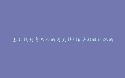 怎么找到自己村的团支部(探寻村级组织的线索)