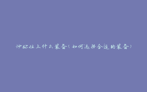 沙弥拉上什么装备(如何选择合适的装备)