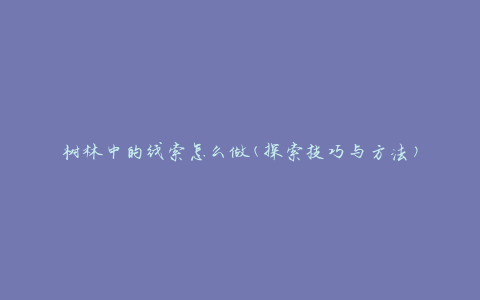 树林中的线索怎么做(探索技巧与方法)