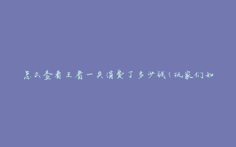 怎么查看王者一共消费了多少钱(玩家们如何查询游戏消费总额)