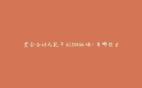 赏金令68元能干到500级吗(有哪些方法可以快速提升等级)