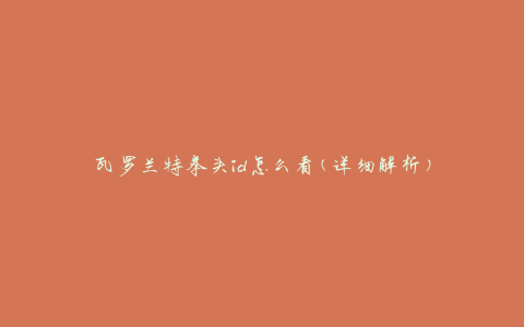 瓦罗兰特拳头id怎么看(详细解析)