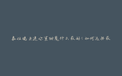 泰拉瑞亚迷你鲨附魔什么最好(如何选择最适合的附魔效果)
