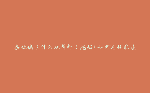 泰拉瑞亚什么地图种子越好(如何选择最佳种子)
