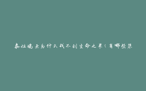 泰拉瑞亚为什么找不到生命之果(有哪些原因导致无法获得)