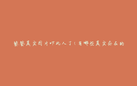 饕餮真实图片吓死人了(有哪些真实存在的饕餮图片令人毛骨悚然)