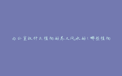 办公室放什么植物好养又风水好(哪些植物适合办公环境并带来好运气)