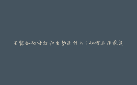 星露谷物语打扫坐垫选什么(如何选择最适合的清洁工具)